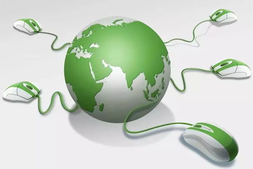 电商赋能，菜农破局——齐陵电商助农新路径