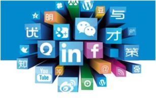 互联网品牌营销与销售的真实图景 光环背后，回归本质